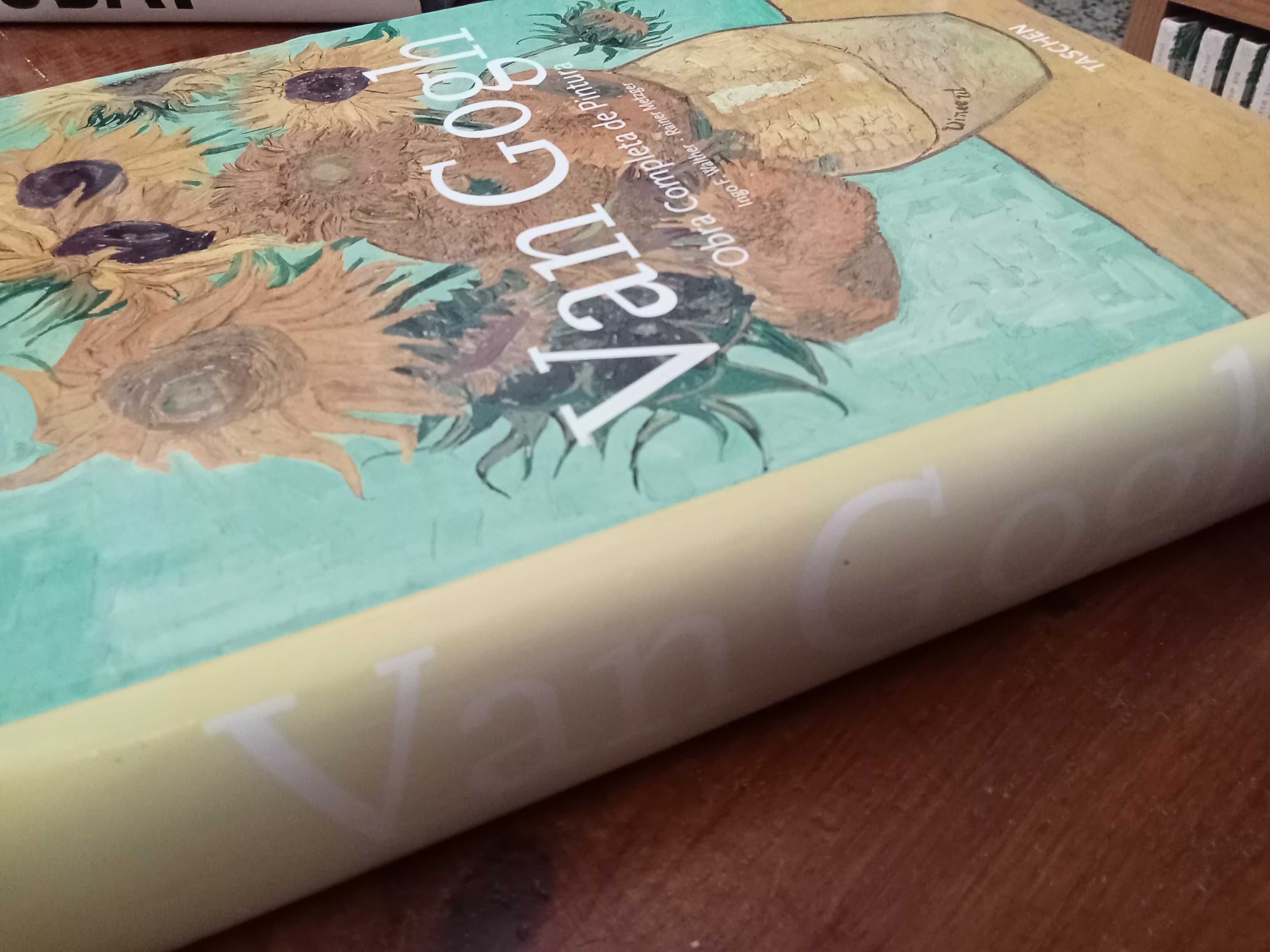 Van Gogh – obra completa de pintura I