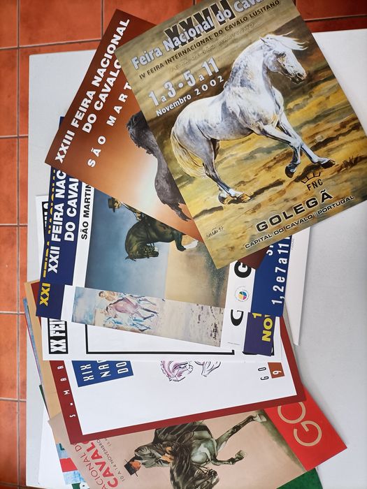 Feira de São Martinho-vários Posters + Pasta com 34 posters diferentes
