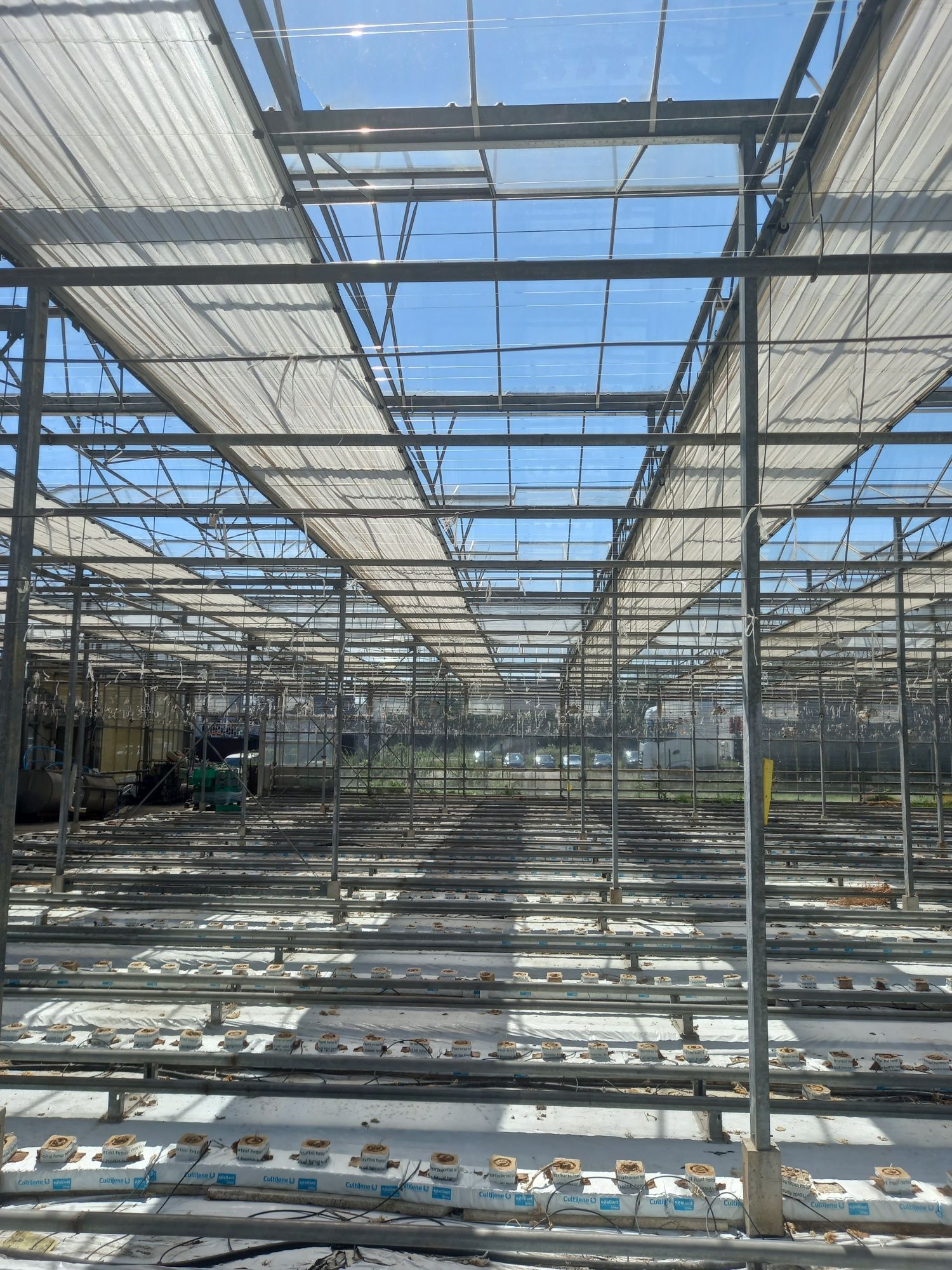Szklarnia venlo 2700m2 holenderka