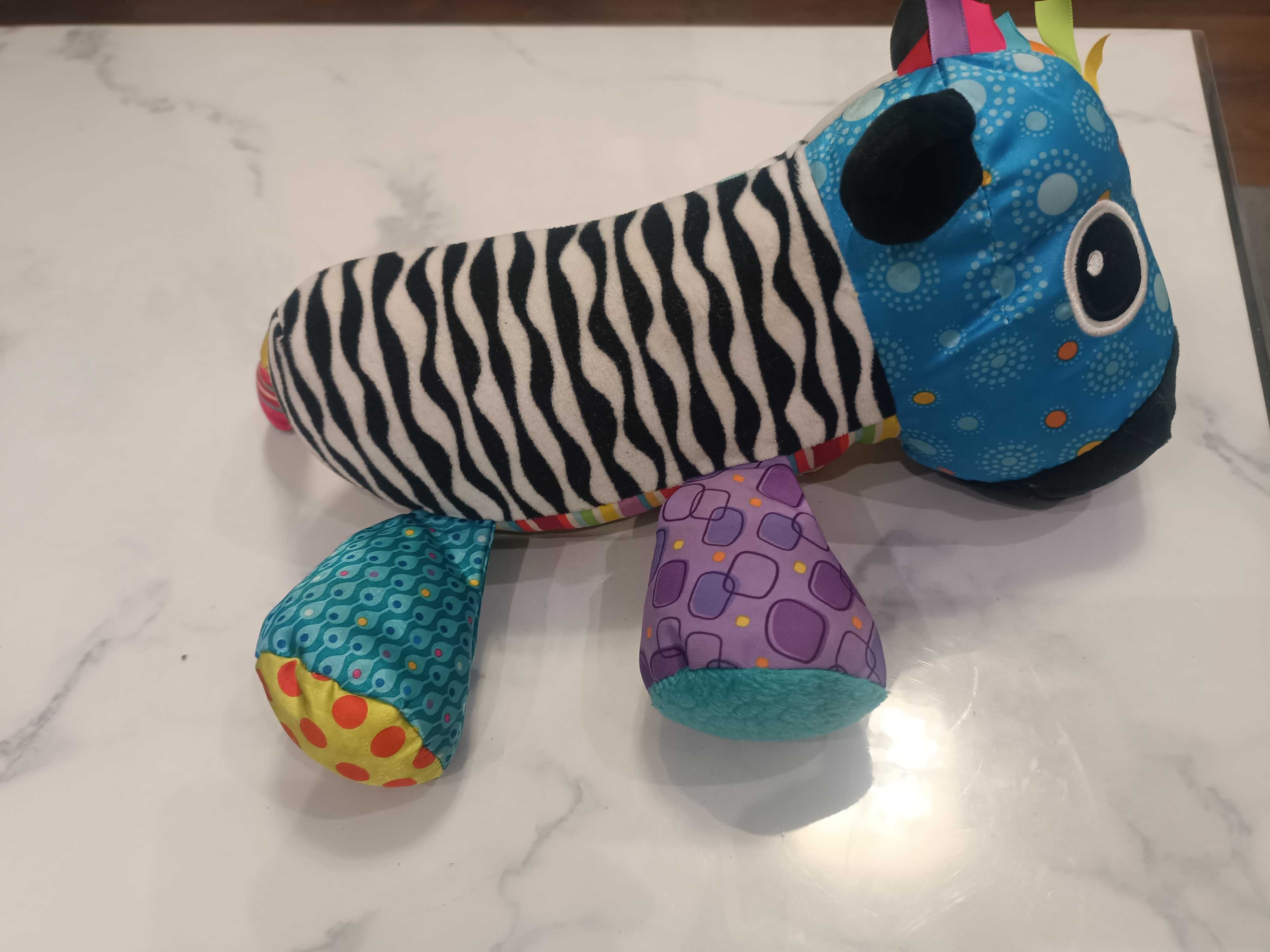 Lamaze - koncertowa zebra Kosimo