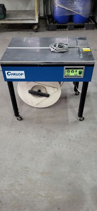 Paskarka bandownica cyklop