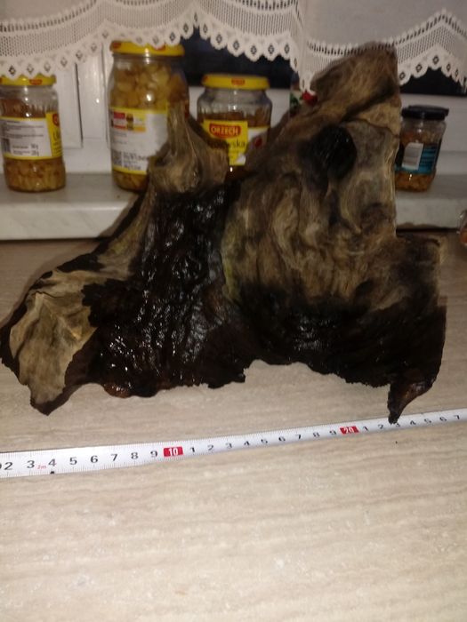 Korzeń do dużego akwarium