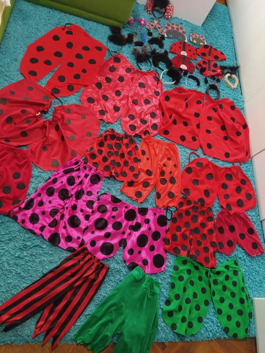 Сонечко,божа корівка,метелик,бджола,,костюми сонечка,бджоли,жука,коник