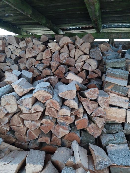 Drewno opałowe grube