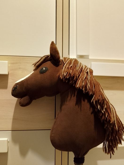 Hobby      horse