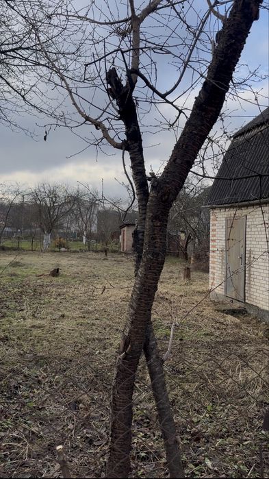 ‼️Дачна ділянка•дача• ділянка Струмівка‼️