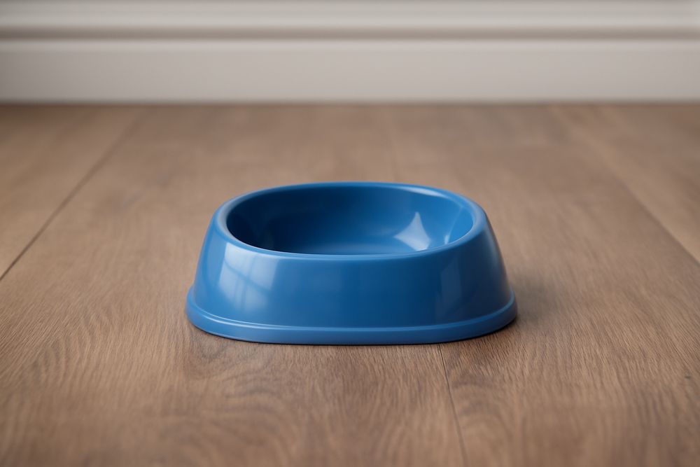 Miska dla psa plastikowa niebieska