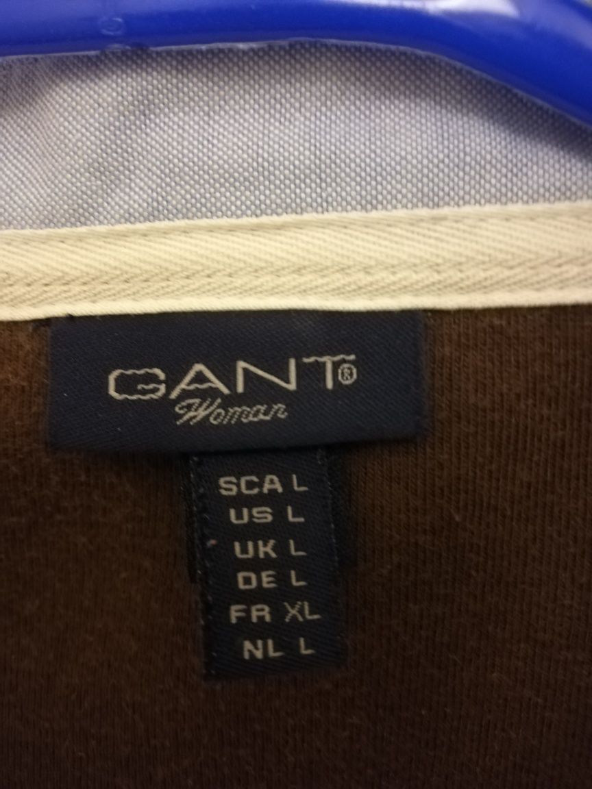 Polo GANT castanho e azul