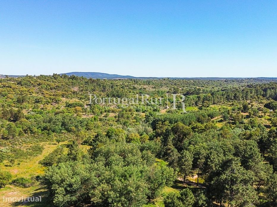 Quinta do Ponsulinho com 9,7 Hectares