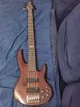 ESP LTD D 5 NS gitara basowa 5 strunowa