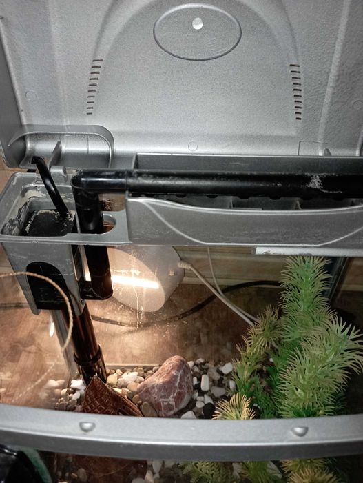 Акваріум 7 л з фільтром і декором