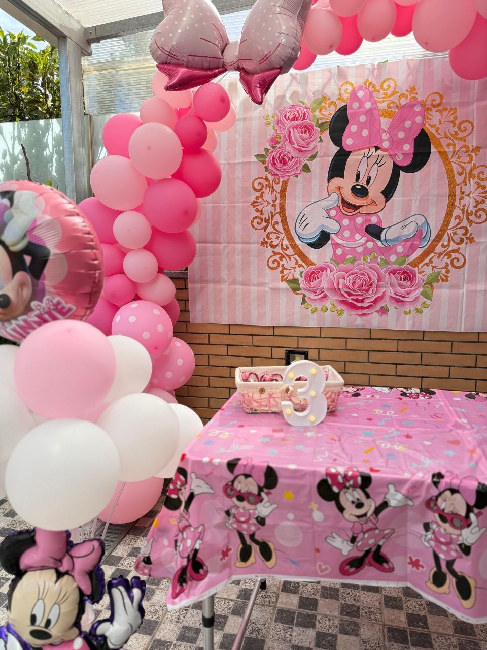 Tela, lona da minnie festa