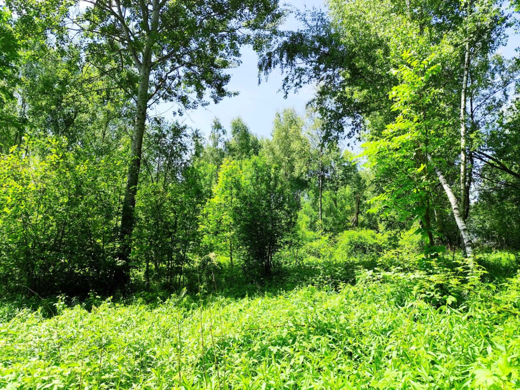 Sprzedam działki budowlane Pietrusza Wola