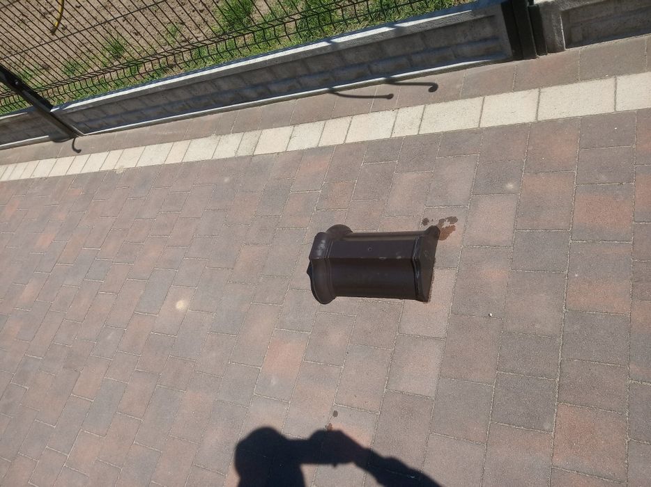 Gąsiory dachowe Jungmeier