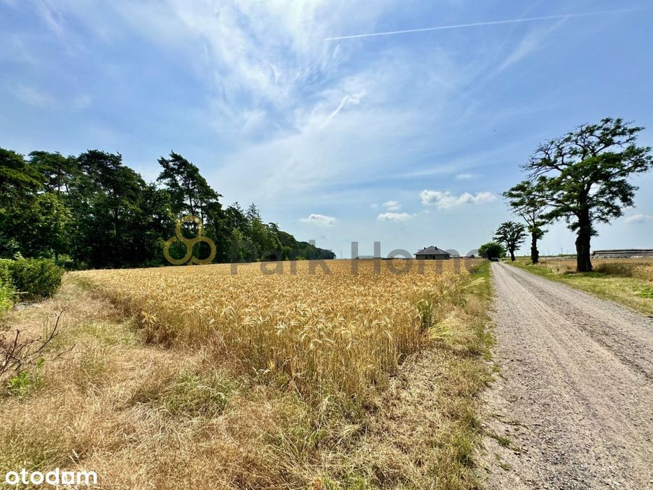 Atrakcyjne działki przy lesie | blisko Poznania |