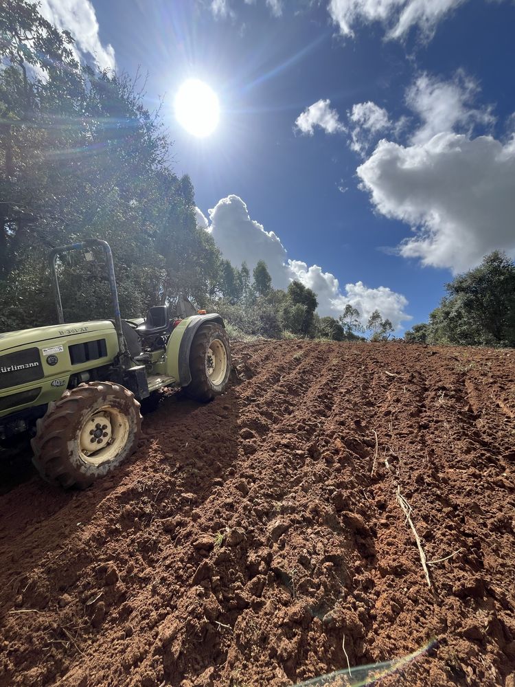 Serviços agricolas e florestais / jardins / corte de arvores