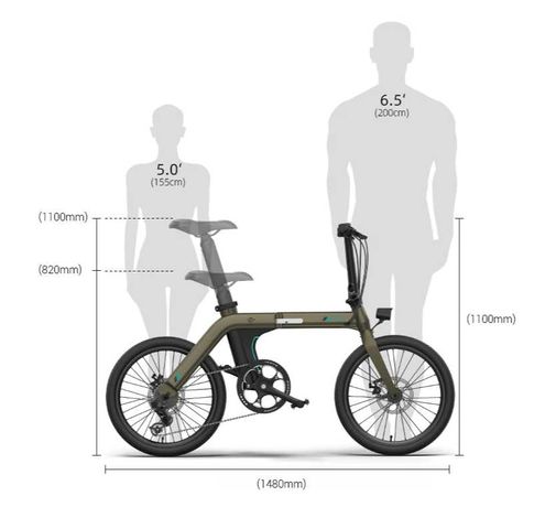 FIIDO D21 składany rower elektryczny ebike. 36V 11,6AH 250W