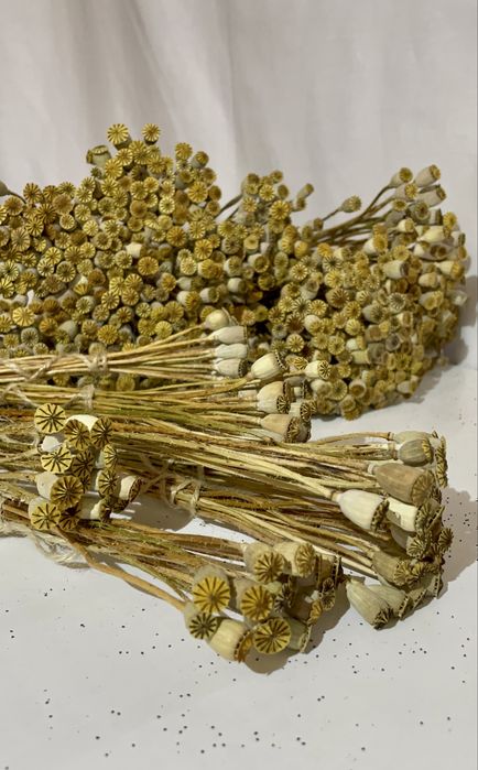 Дідух. Сніп. Набори для самостійного створення.