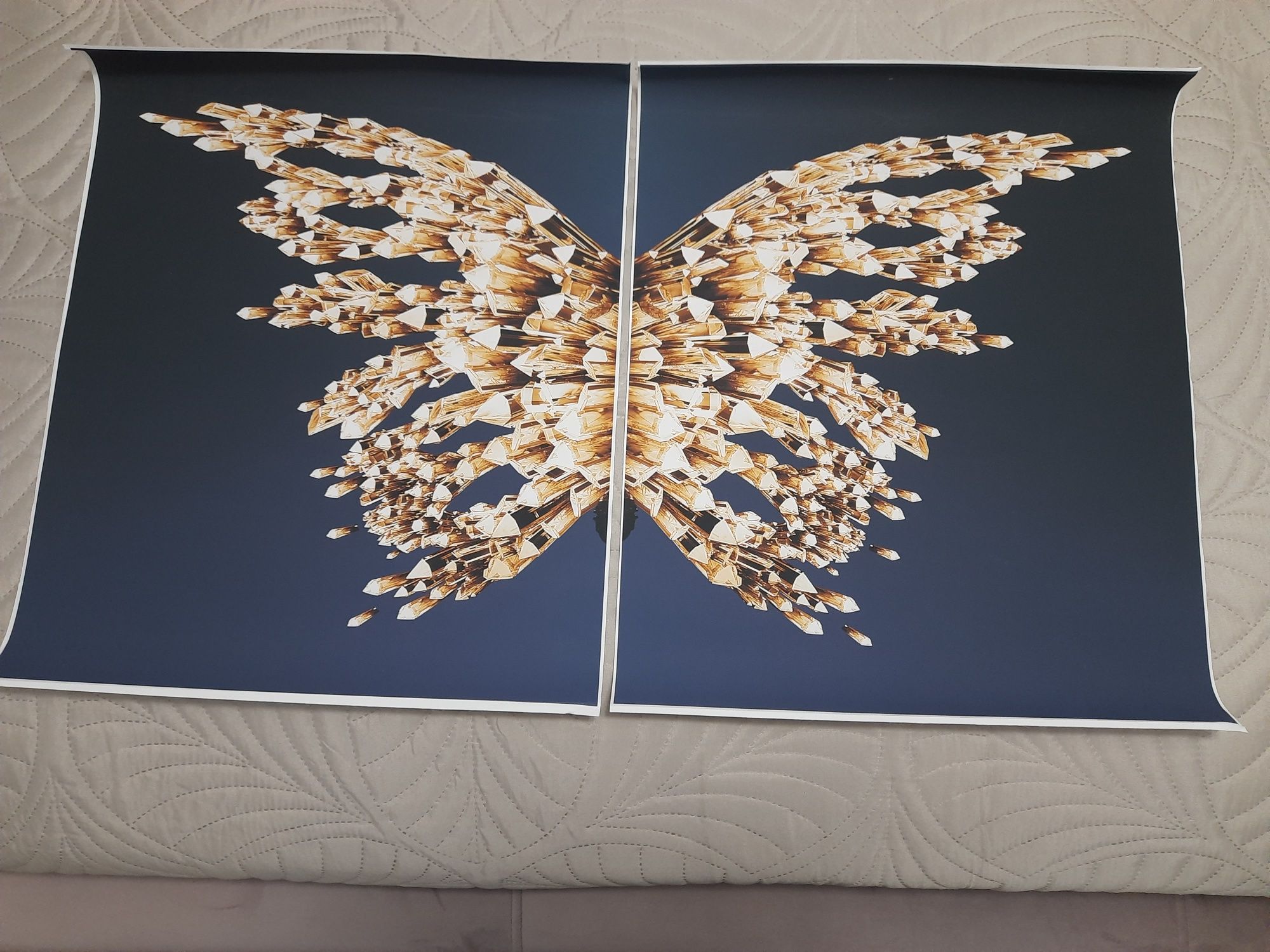 Plakaty złoty motyl 40x50