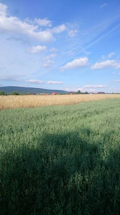 Sprzedam działkę rolno-budowlaną (zagrodowa) 30a Do negocjacji !!!