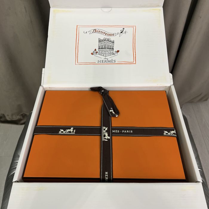 Женские шлепанцы Hermes Giulia (37)