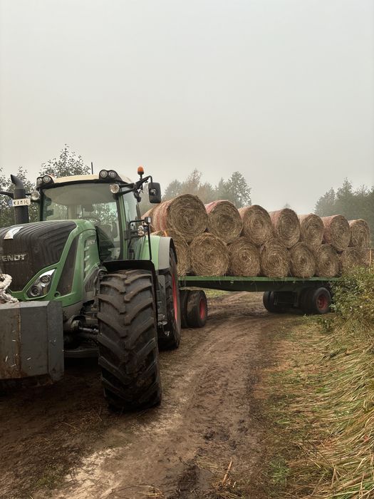 Siano bele z prasy pasowej