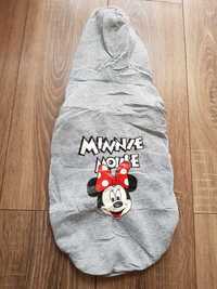 Szara bluza z kapturem dla psa Myszka Minnie Disney XL