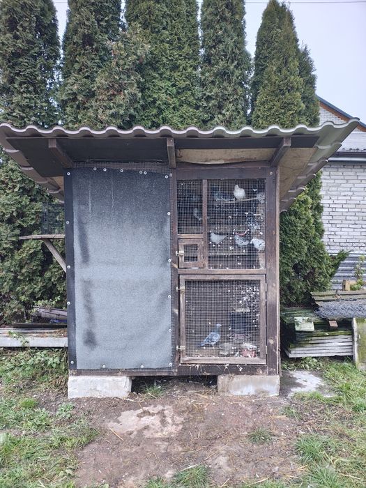 Gołębie+Gołębnik