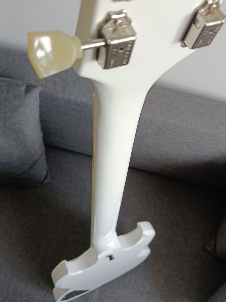 Epiphone SG Standard AW plus Case