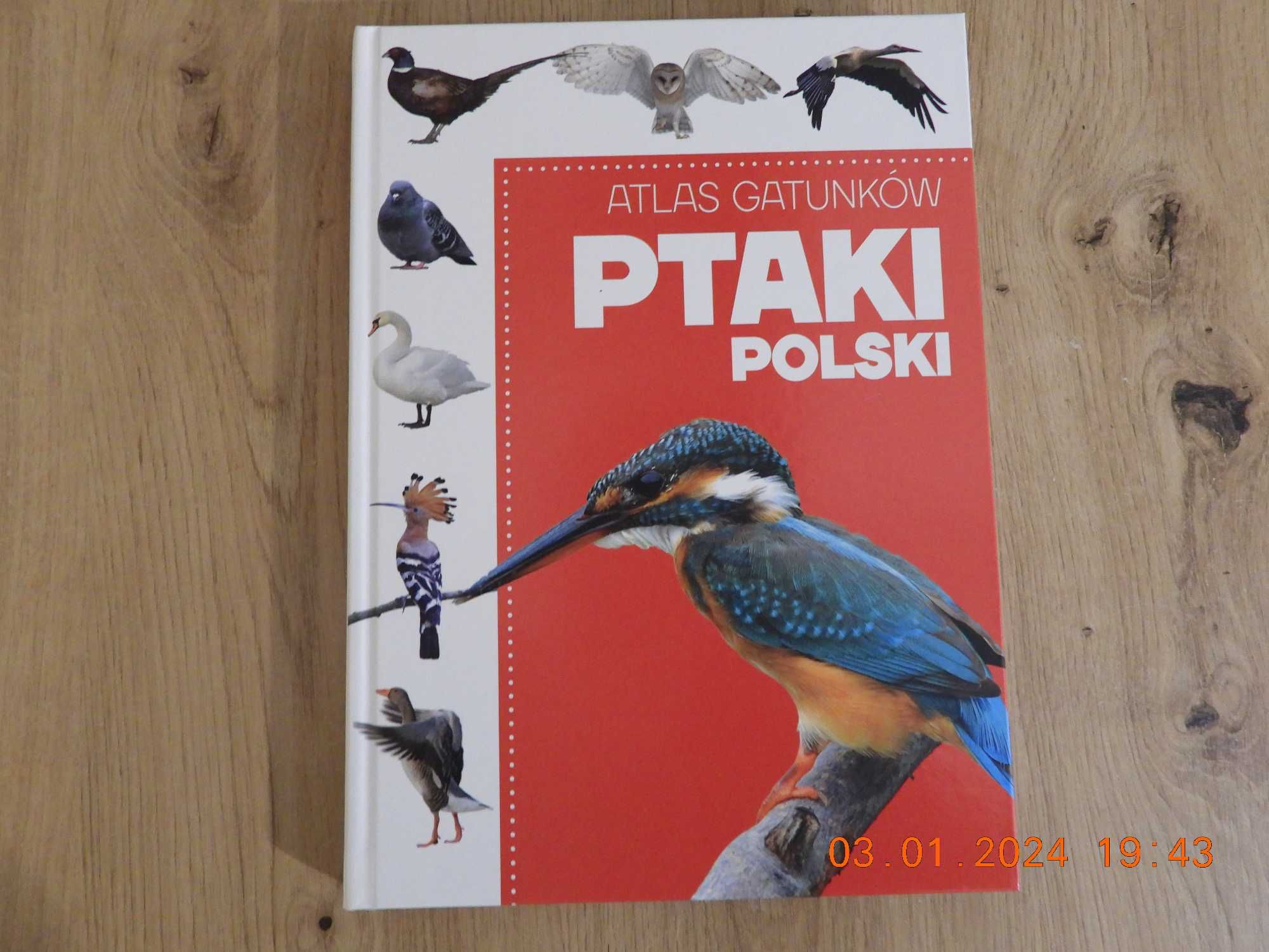 Atlas gatunków. Ptaki Polski.  -Praca zbiorowa  NOWA