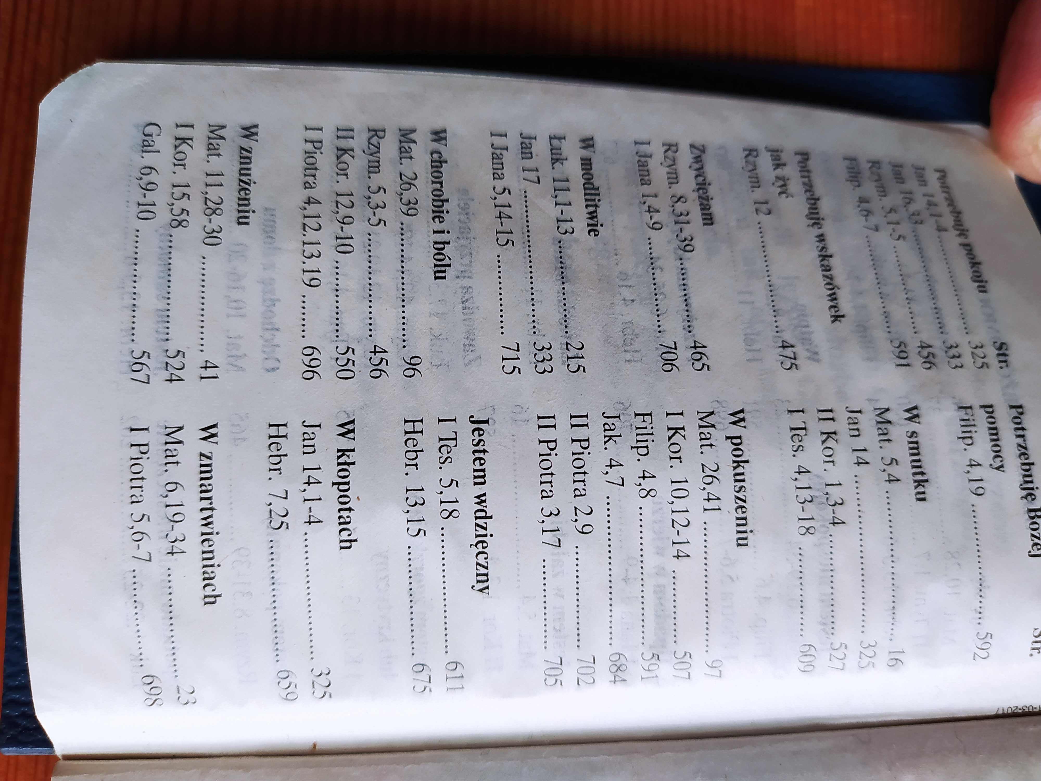 Książka Nowy Testament wydanie geodenitów