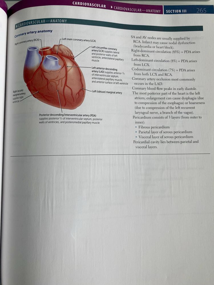 usmle step 1 book