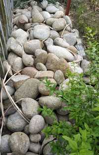 Otoczak granit, ogród ,kaskafa, oczko, skalniak