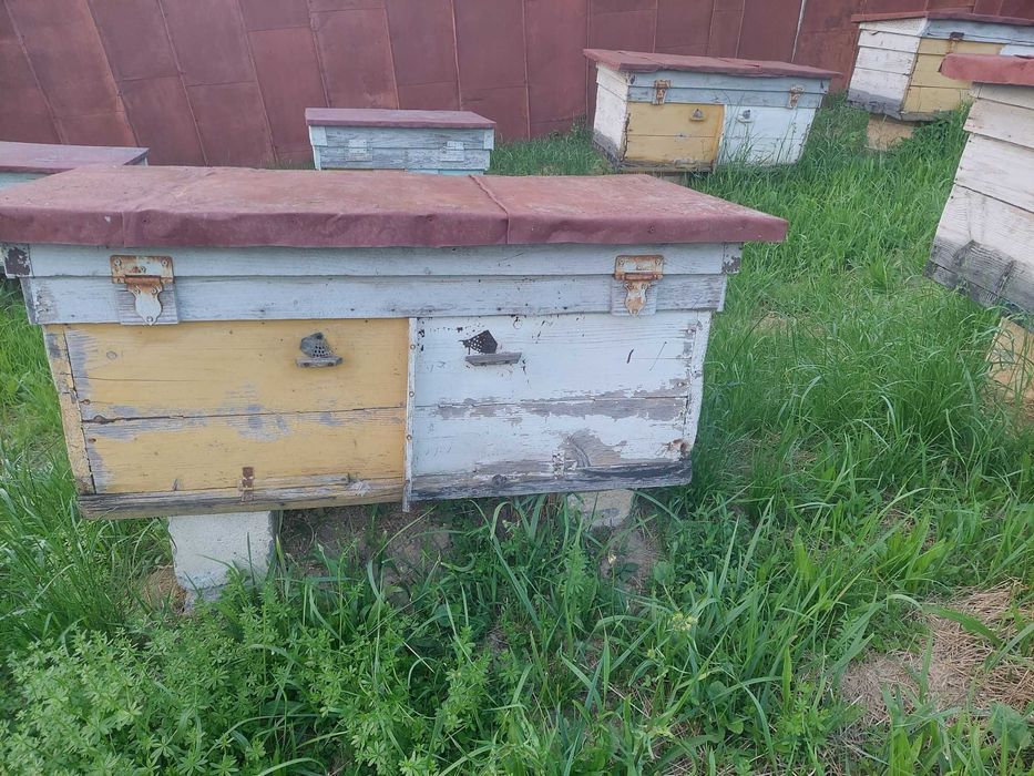 Продам інвентар для матководства: нуклеуси, вулики та інше