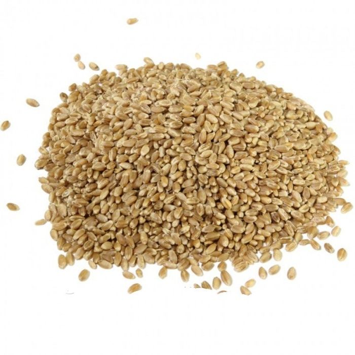 ЗЕРНА СЕМЕНА Органика для ПРОРАЩИВАНИЯ пшеница ячмень соя расторопша