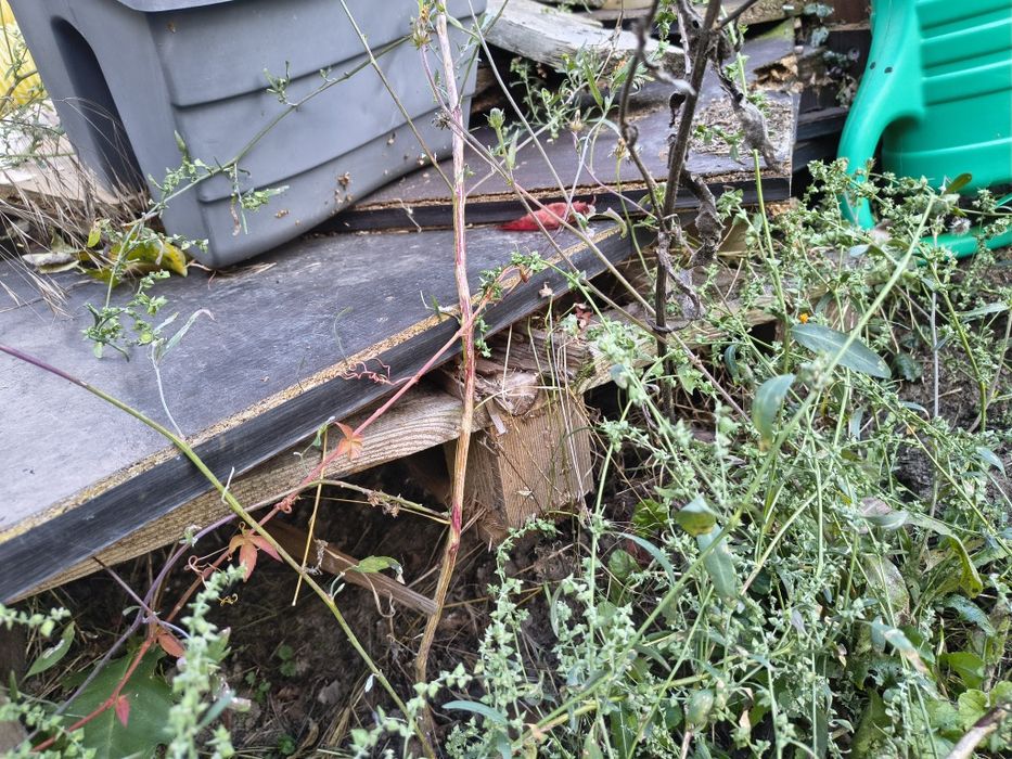 Deski opał drewno palety