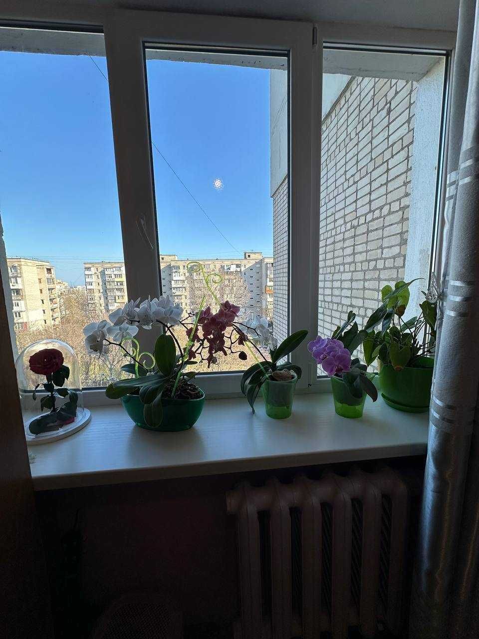 3-к квартира на Олександрійській. Чешка. 65м2