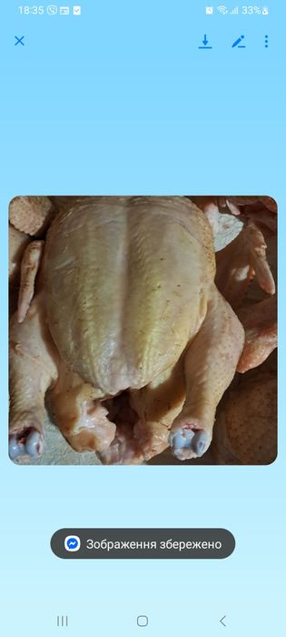 Бройлерна курочка