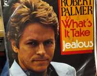 Robert Palmer what's it take jealous singiel vinyl winyl