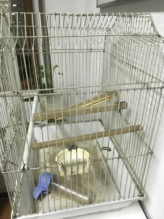 2 Gaiolas em Óptimo Estado. Preço individual na descrição.