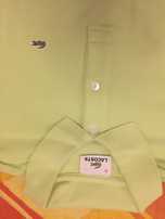Pólo Lacoste original