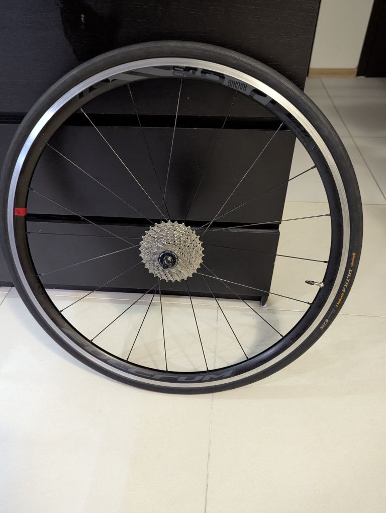 Koło szosowe tylne Fulcrum racing 6