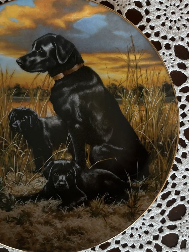Hamilton Cudne Psy Labrador Dekoracyjny Talerz Porcelanowy Pies obraz