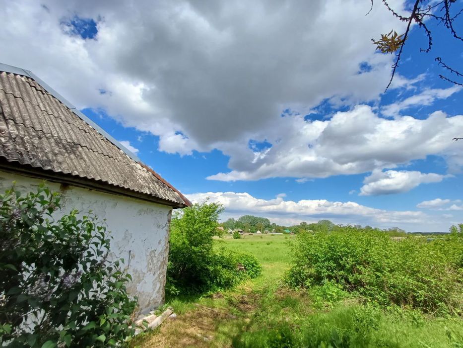 Продаж старого будинку на земельній ділянці 0,25 сот біля лісу