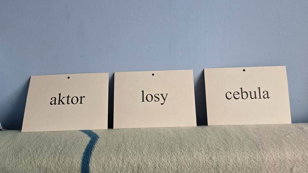 Pomoce dydaktyczne karty 95 sztuk