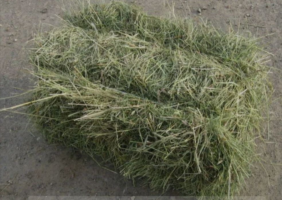 Продам сіно та солому,люцерну