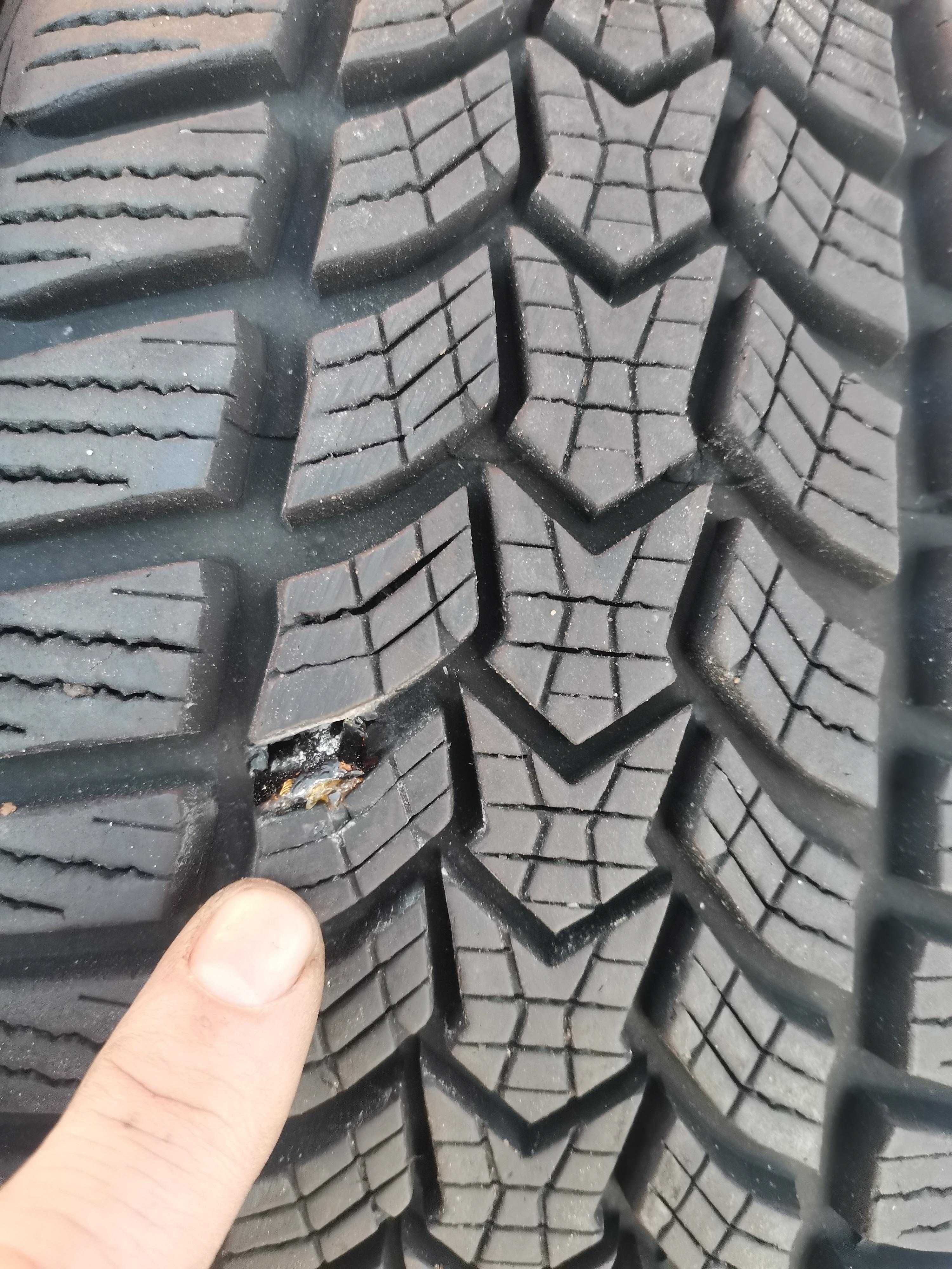 4 Opony zimowe Dębica Frigo HP2 195/55 R16 87 H