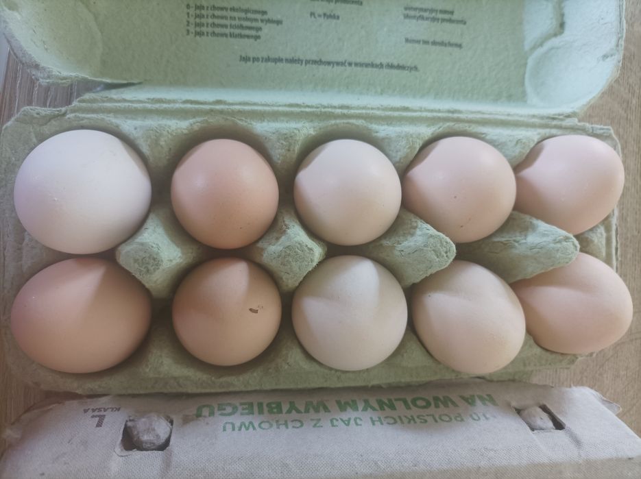 Wiejskie, świeże jajka od kur z wolnego wybiegu.