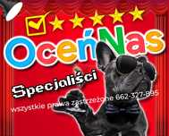 Pozycja OPINIE go.ogle