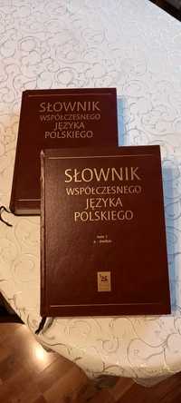 Słownik języka polskiego